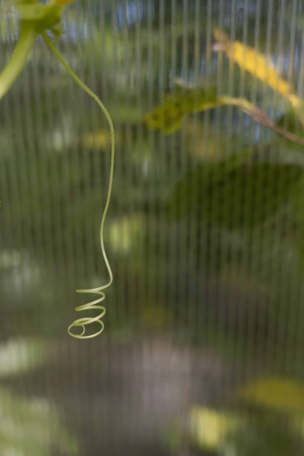 Comment adapter la Mercedes Classe E pour une utilisation professionnelle ?