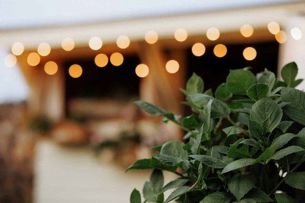 Est-il possible de personnaliser l'éclairage intérieur d'une BMW Série 5 pour une ambiance premium ?